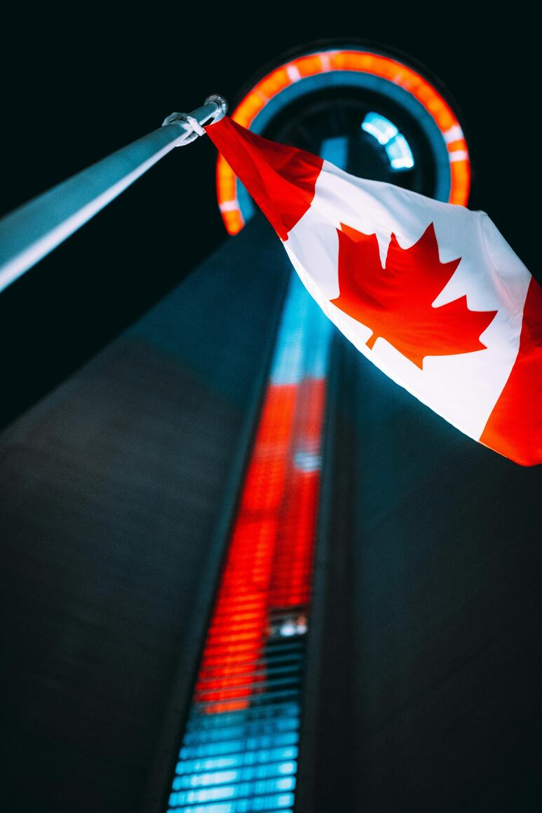 82651.jpg