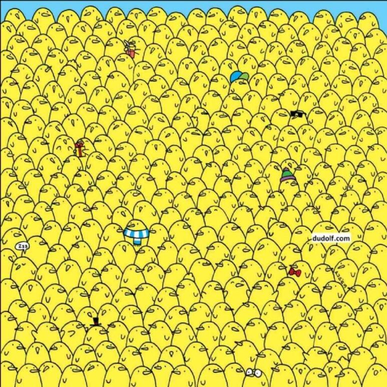 42051.jpg