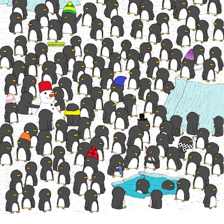 25045.png