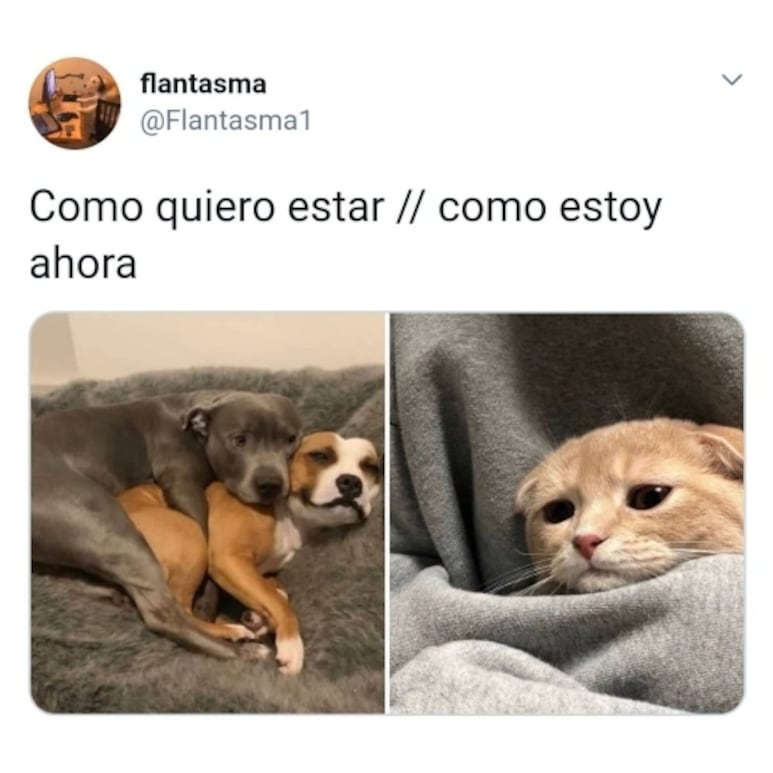 59659.jpg