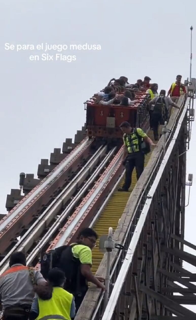 66261.jpg