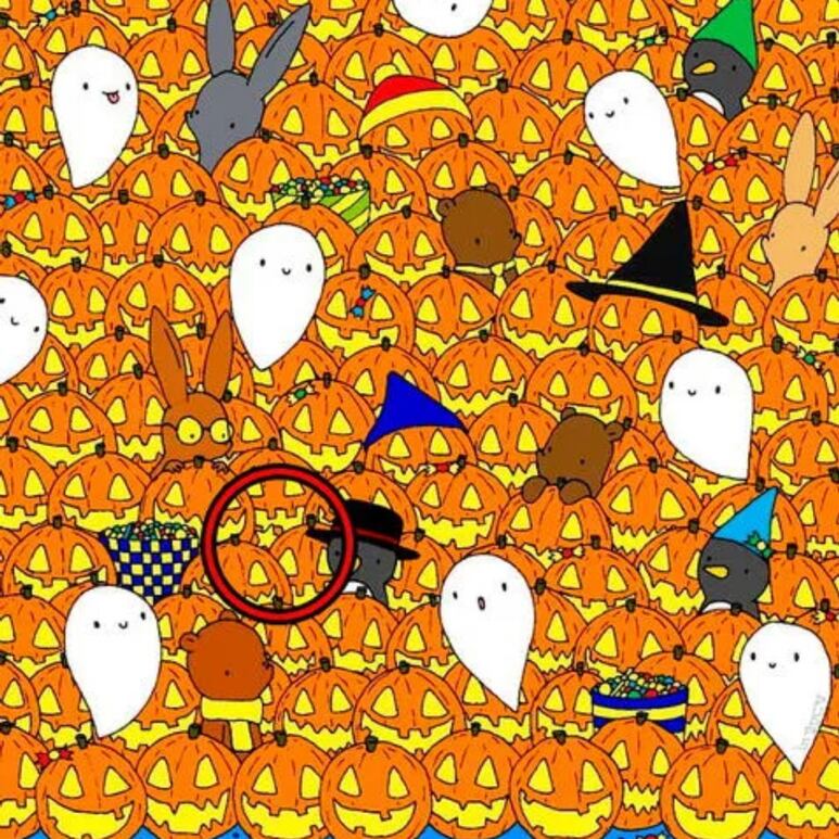 51067.jpg