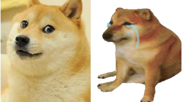 67165.jpg