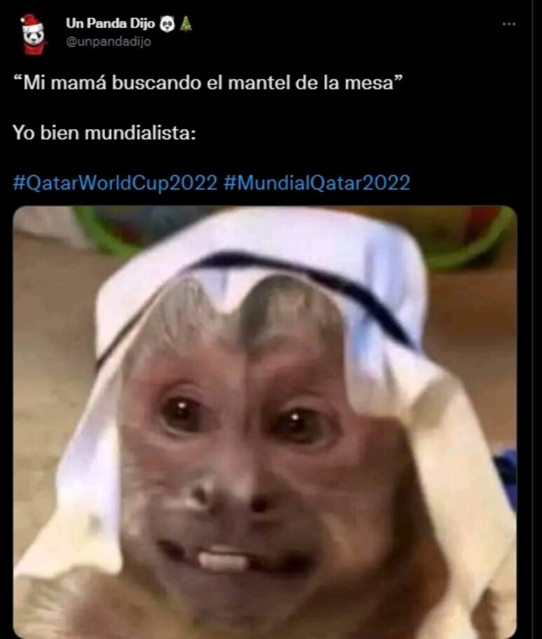 52791.jpg