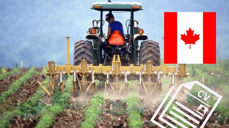 agricultor