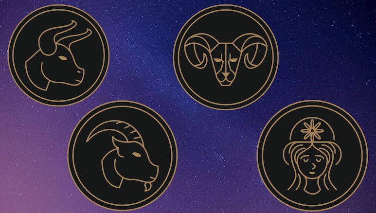 capricornio tauro virgo aries