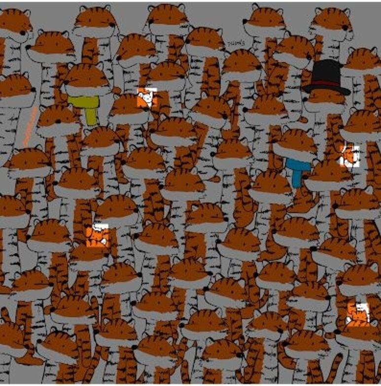 27450.jpg