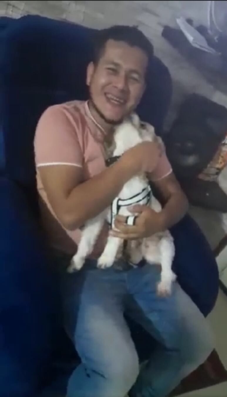 44780.jpg