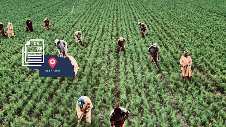 Un racho en Nebraska solicita trabajadores agrícolas con visa H-2 y sueldo de 19 dólares | REQUISITOS