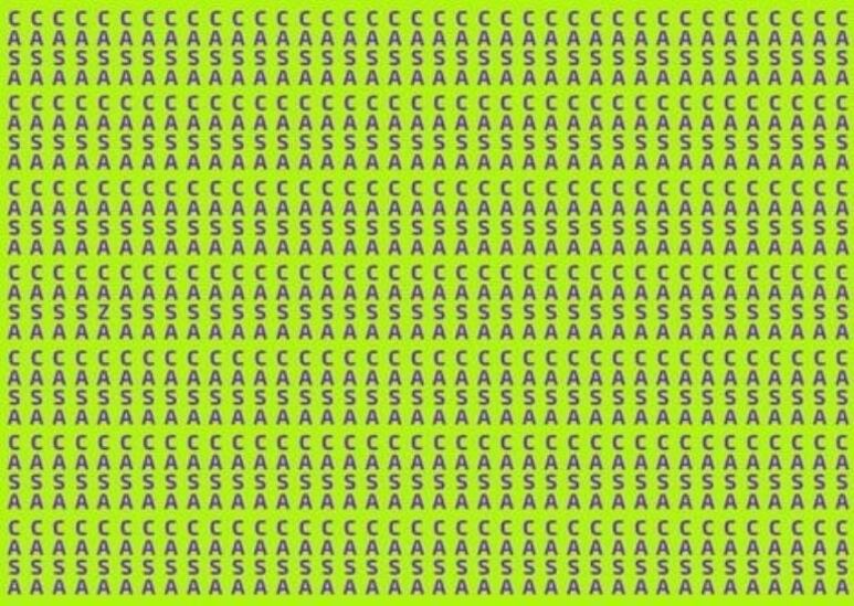 42127.jpeg
