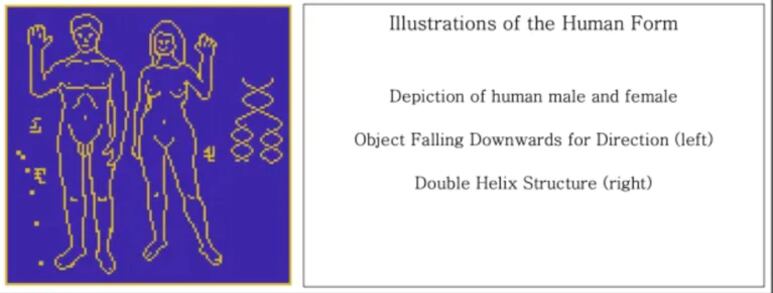 37891.png