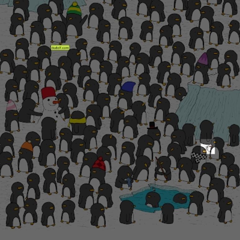 25044.png