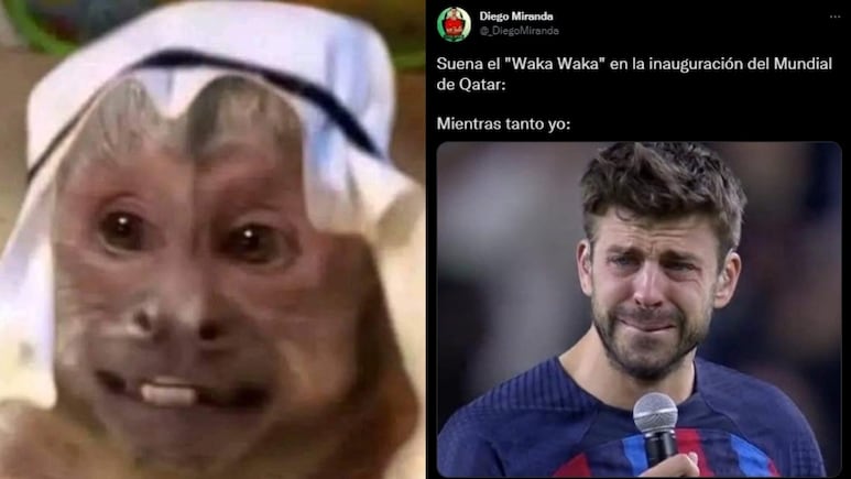 52801.jpg
