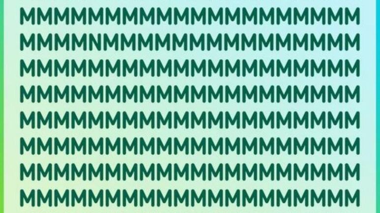 29933.jpg