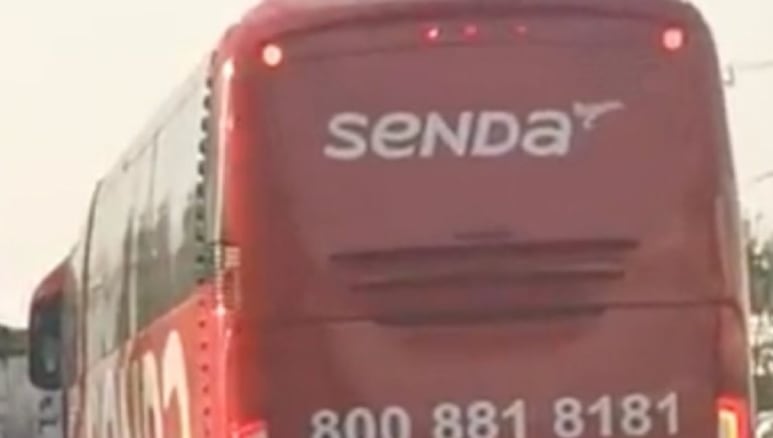 81495.jpg