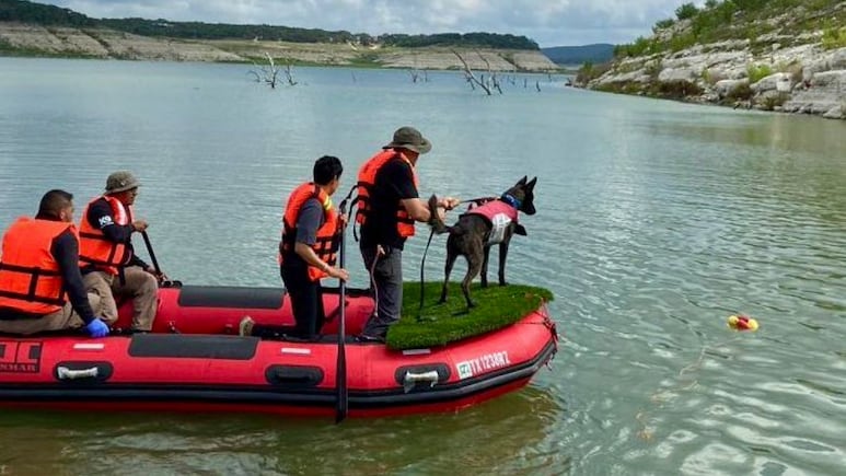 Perros rescatistas mexicanos ayudan a localizar víctimas de inundaciones en Texas