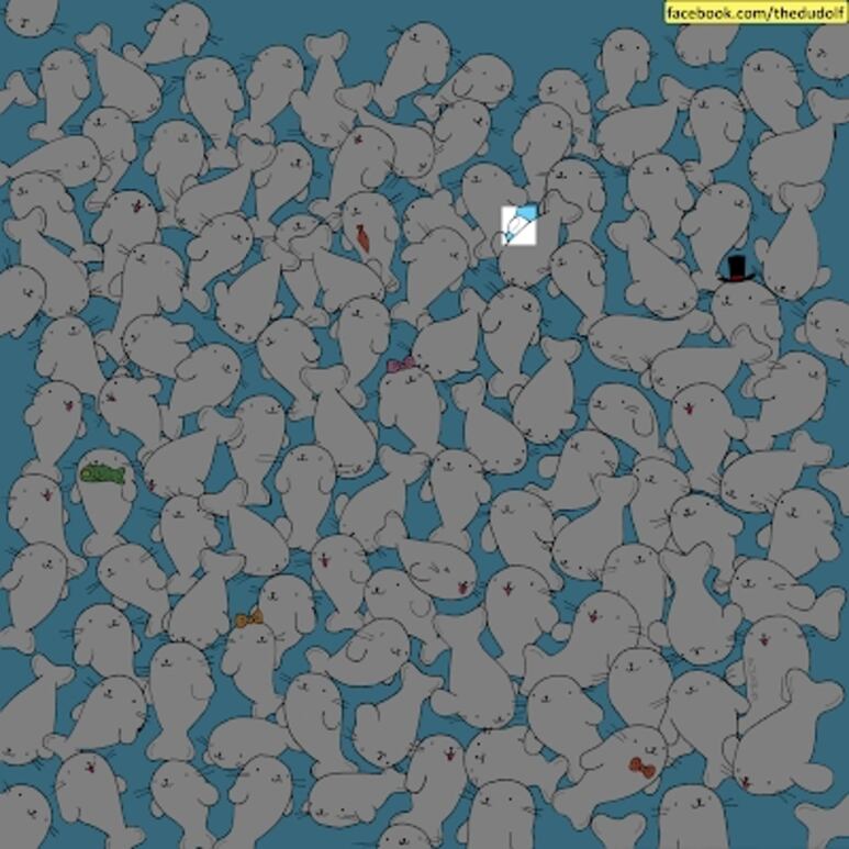 25615.png
