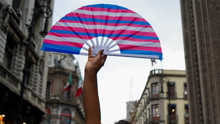 Liberan a mexicana trans que habría solicitado asilo en EEUU tras ser detenida por ICE