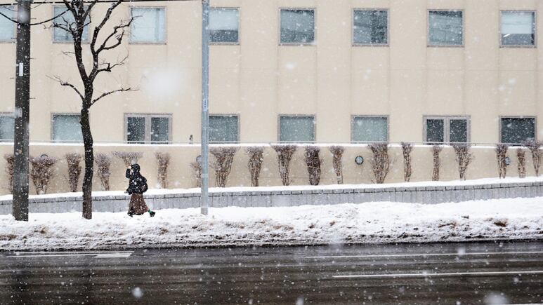 Frío Polar: ¿Qué lugares de Estados Unidos tendrán más NIEVE durante los primeros días de enero