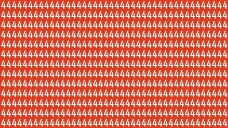 27674.jpg