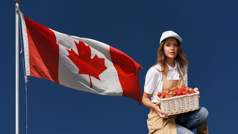 En Canadá ofrecen trabajo para mexicanos sin estudios con sueldo de 18 dólares por hora