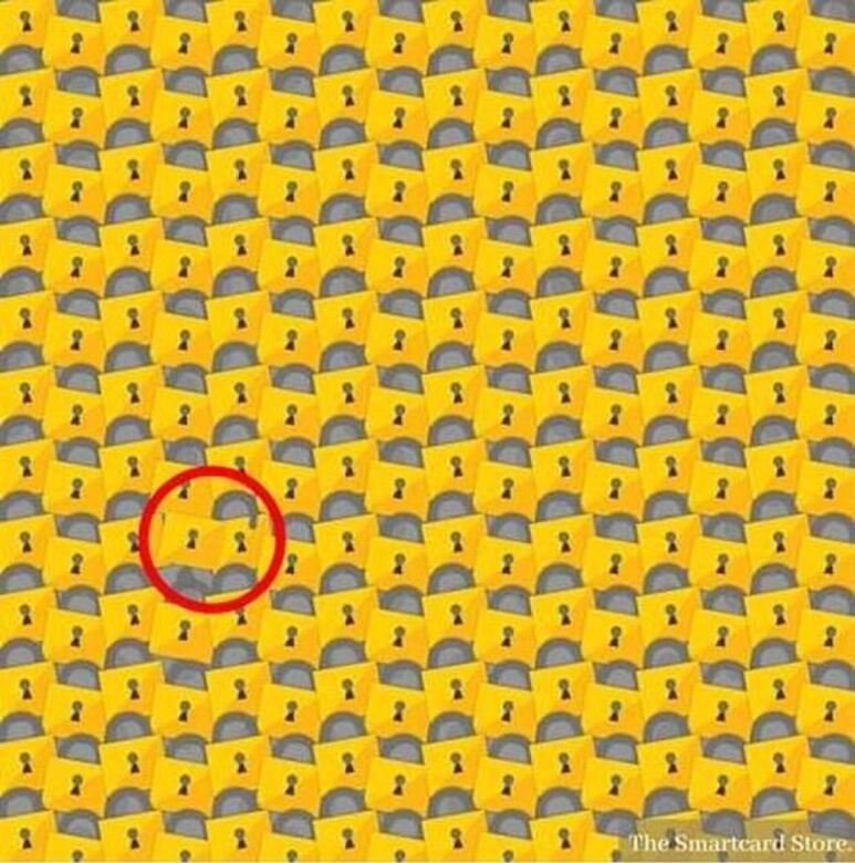 29895.jpg
