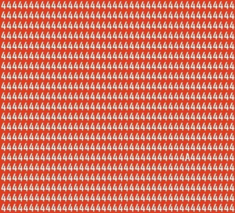 27673.jpg