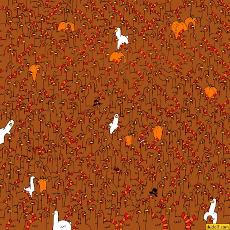 20219.png