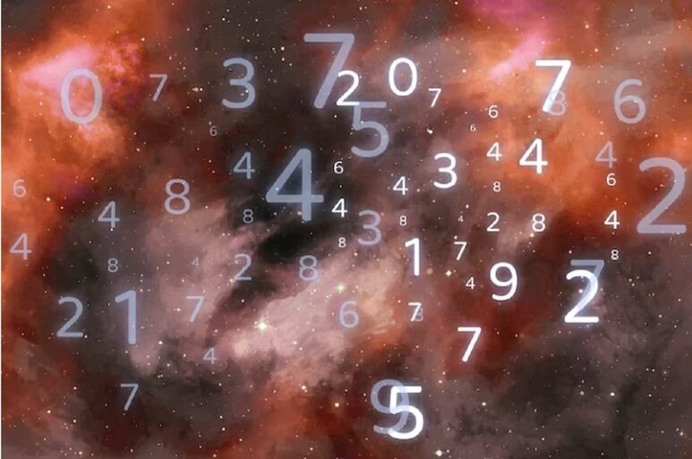 66485.jpg