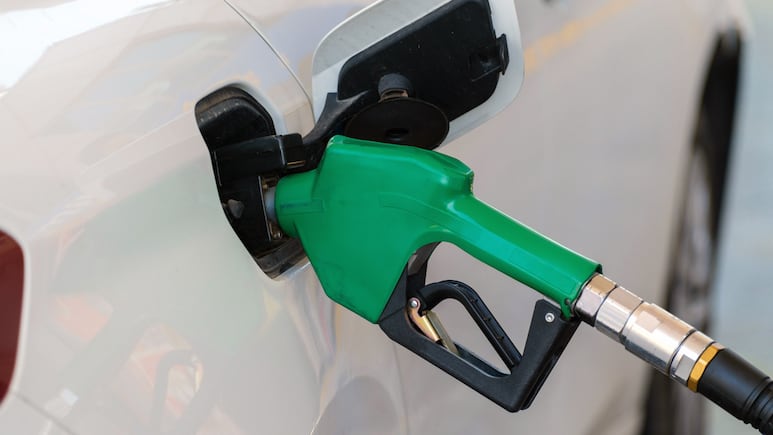 Gasolina