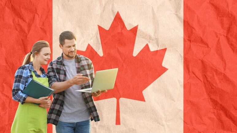 Canadá lanza EMPLEO para latinos sin estudios con sueldo de 18 dólares por hora | REQUISITOS