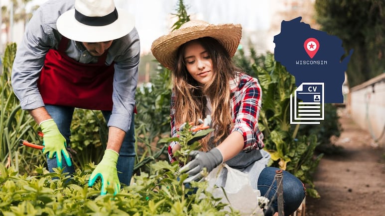 Huerto en Wisconsin solicita trabajadores agrícolas con visa H-2A por 18 dólares la hora| REQUISITOS