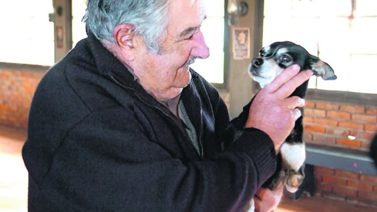Revelan última voluntad de José ‘Pepe’ Mujica; ser enterrado con su perrita Manuela