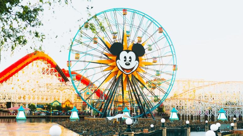 53890.jpg