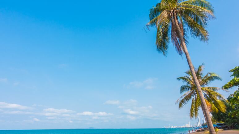 Rescuing Acapulco