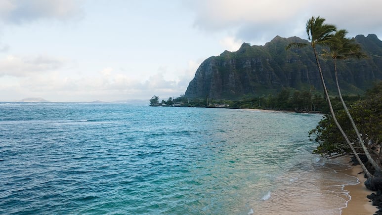 Alerta de Tsunami en Hawai, ¿qué está pasando?