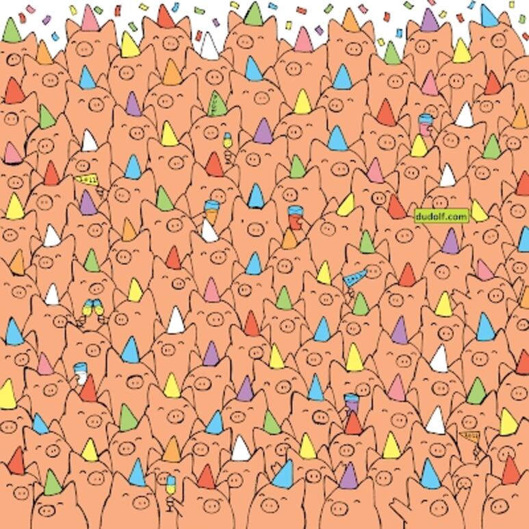 23807.png