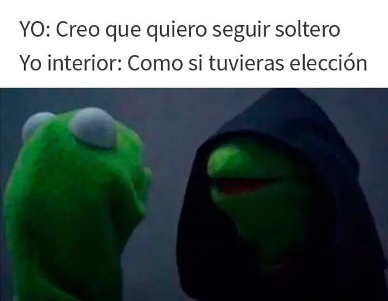 59721.jpg
