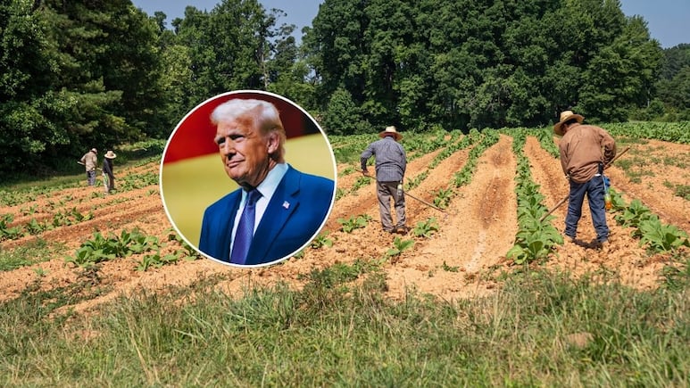 Trump afirma que desea proteger a migrantes que trabajan en sector agrícola para que no sean deportados