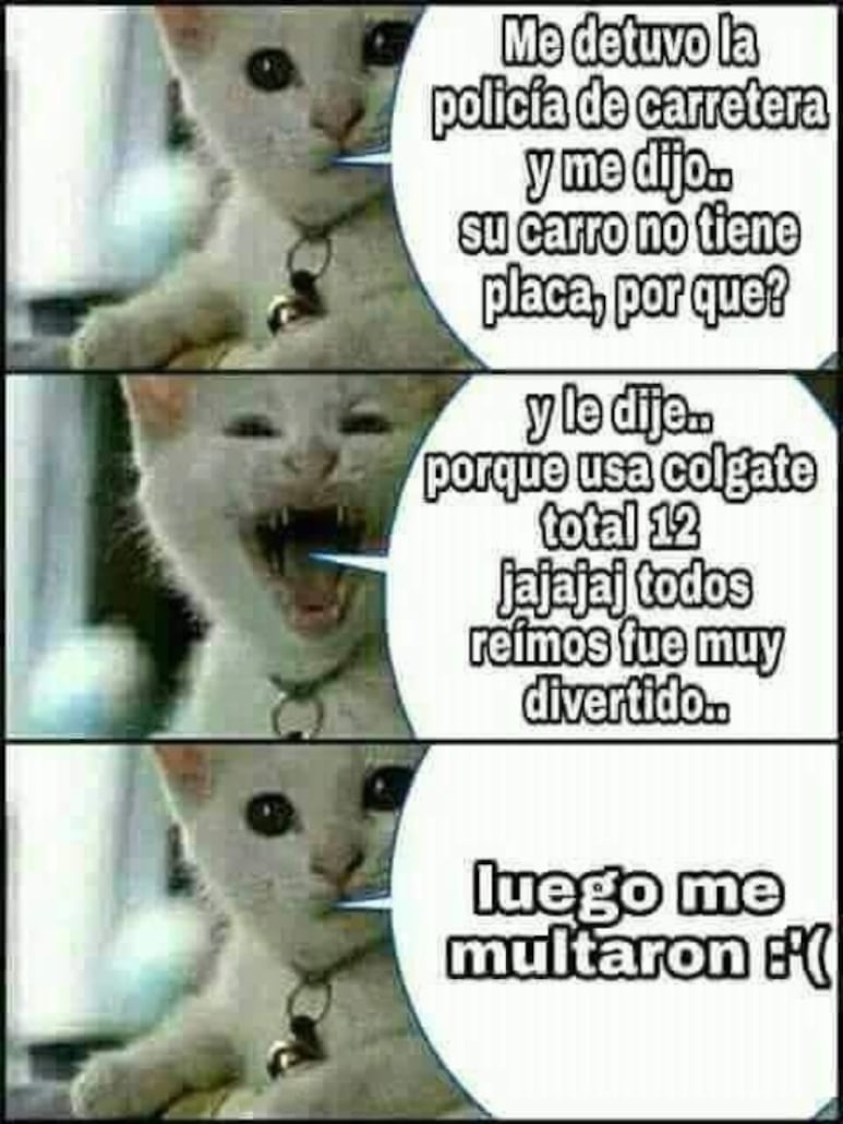 59229.jpg