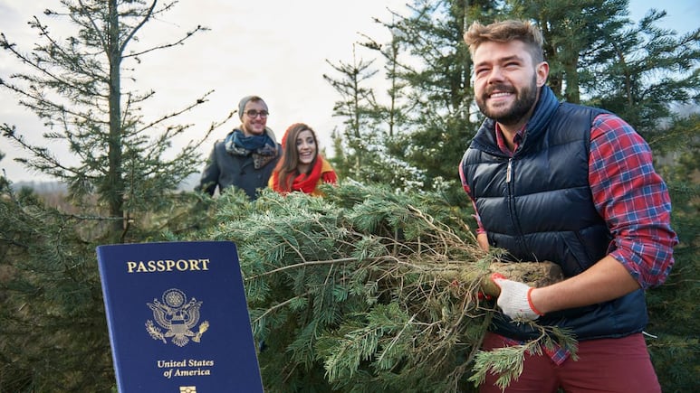Empresa en Carolina del Norte solicita extranjeros para trabajar con árboles de navidad por 16 dólares la hora | REQUISITOS