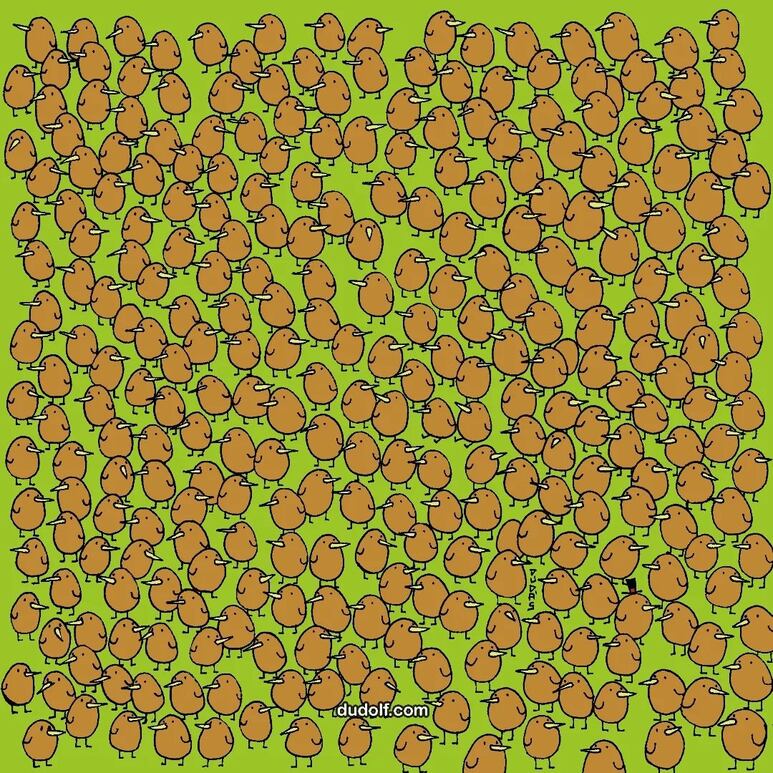 44145.jpg
