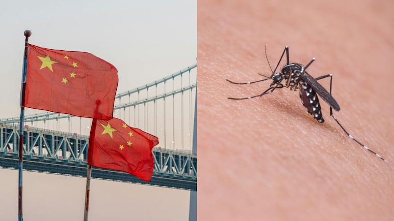 Reportan en China 7 mil casos por chikungunya, brote que ha comenzado a alertar a la población