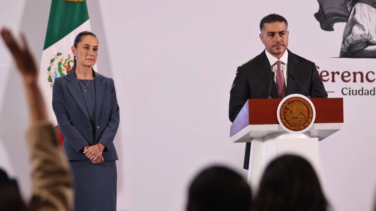 ¿En qué consiste la Reforma de Seguridad Pública recién aprobada por las comisiones del Senado?