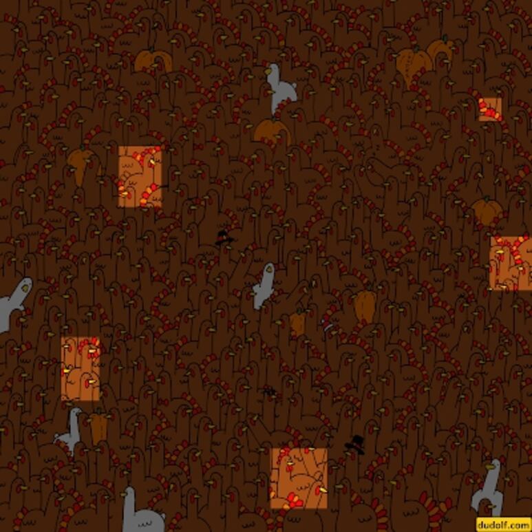 20218.png