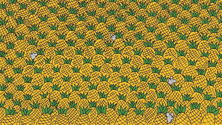 37987.jpg