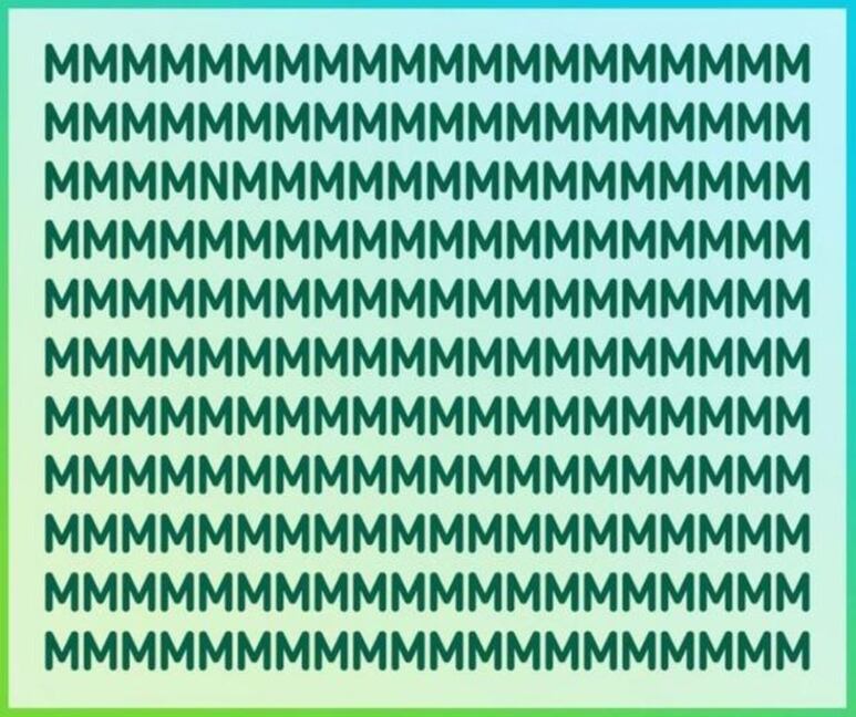 29931.jpg
