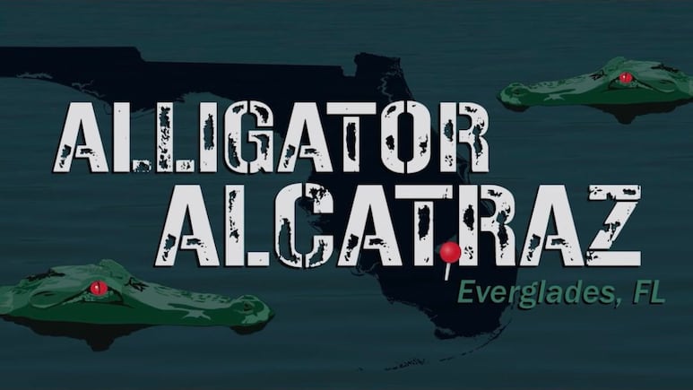 “Alligator Alcatraz” inicia construcciones en Florida; ¿cómo será y cuándo planea iniciar operaciones?