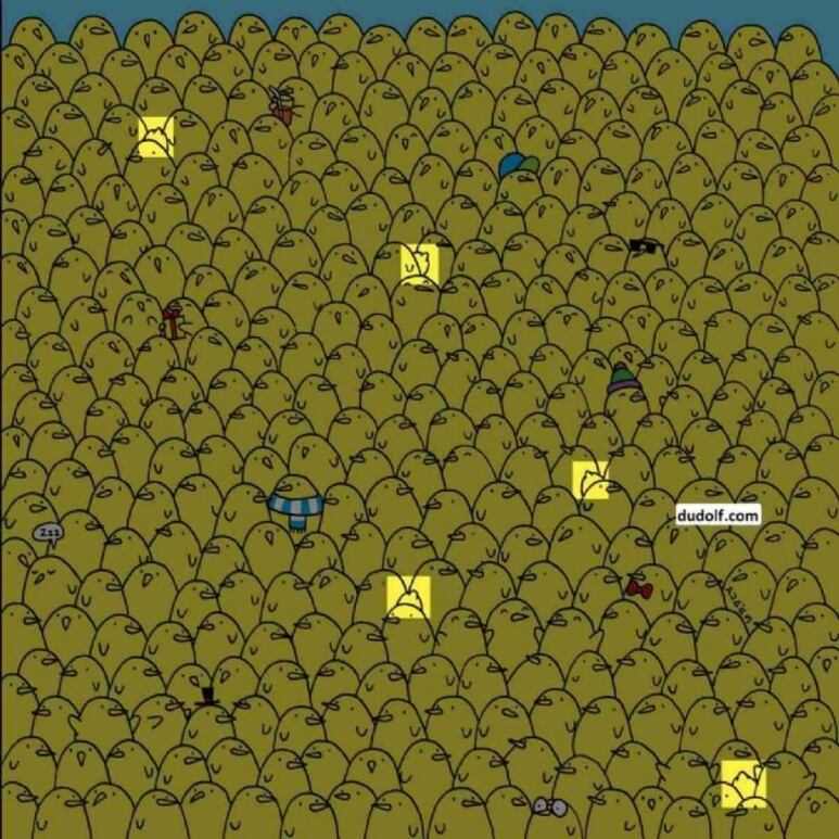42052.jpg