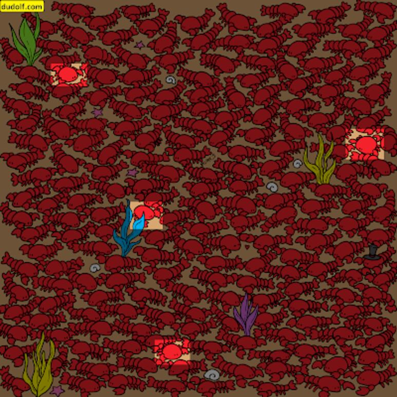 44880.png